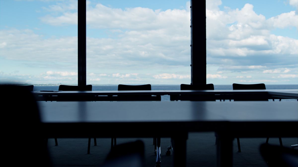 希少　THE CORPORATION IN MODERN SOCIETY The Corporation in the Twenty-First Century