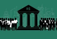 The Political Economy of Brazil’s Pix Payment System