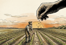 The DOJ Knows What To Do About Those Seed Mergers. Will It Reverse Them?