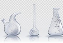 Do Pharmaceutical Acquisitions Undermine Innovation by Disrupting Human Capital?